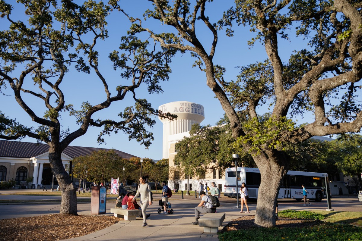 Students wait at a bus stop on the Texas A&M University campus in College Station, on Nov. 12, 2025.